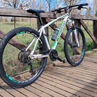 Mountain Bike Bottecchia