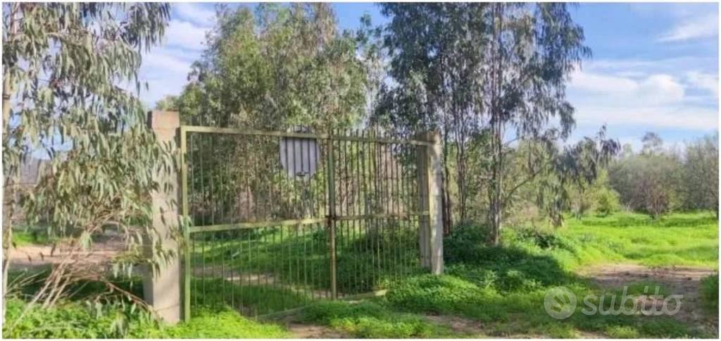 Immobile in asta di 51370 m² a San Vito Romano - Vista 3