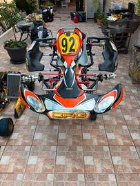 WildKart completo – Freni Lotus DD2