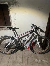 Mountain bike olympia master M