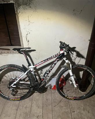 Mountain bike olympia master M
