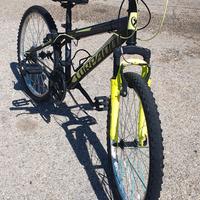 bicicletta Mtb da 26