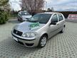 Fiat Punto 1.2 5p Active Natural Power