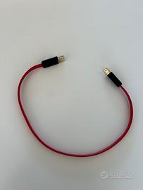 Cavo USB Wireworld Starlight 7