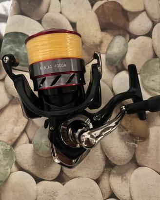Mulinello daiwa