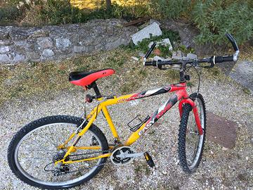 bicicletta cervino Mountain bike