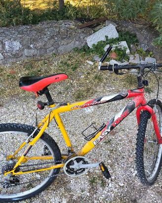 bicicletta cervino Mountain bike
