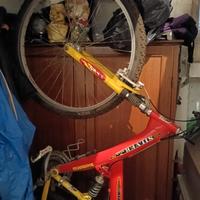 bicicletta 