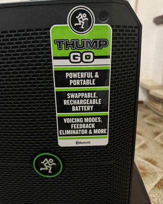 Cassa bluetooth Mackie Thump Go portatile