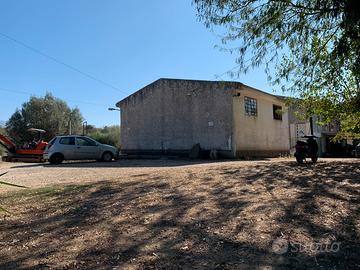 Capannone più terreno, progetto agriturismo