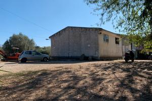 Capannone più terreno, progetto agriturismo