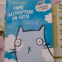 Come acchiappare un gatto invisibile