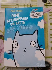 Come acchiappare un gatto invisibile
