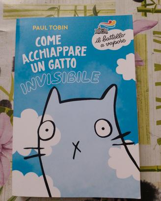 Come acchiappare un gatto invisibile