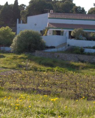 Villa pein