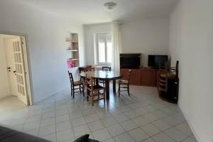 Camere singole vicino univerista'