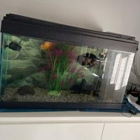 Acquario 100 litri