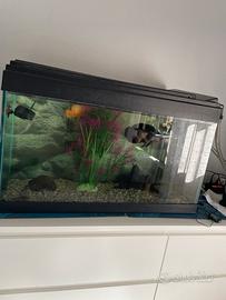 Acquario 100 litri