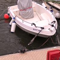 Barca 5 mt marca saver motore selva dorado 40 cv