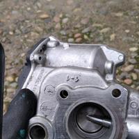 Valvola erg Mercedes b 246