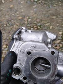 Valvola erg Mercedes b 246