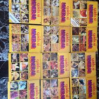 Guida ai minerali, fratelli Fabbri Editori