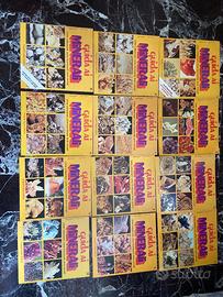 Guida ai minerali, fratelli Fabbri Editori