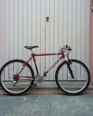 MTB KASTLE Degree 6.0 hdb