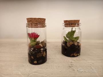 Mini terrarium 
