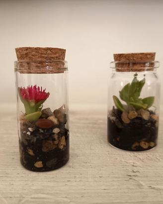 Mini terrarium 
