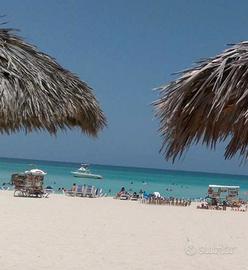 Verde vicino alla spiaggia di Balestrat