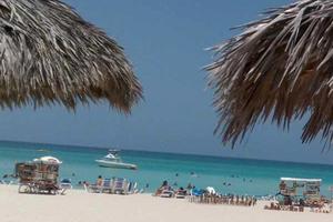 Verde vicino alla spiaggia di Balestrat