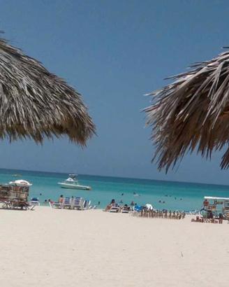 Verde vicino alla spiaggia di Balestrat