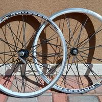 coppia ruote MTB  26" + coppia Copertoni Vittoria