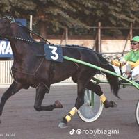 Trotter