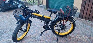 bicicletta elettrica