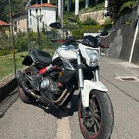 Benelli Bn302