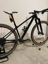 Mtb Focus Raven