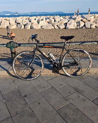Bicicletta ibrida bottecchia
