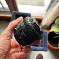 Canon EF 50mm f/1.8 STM