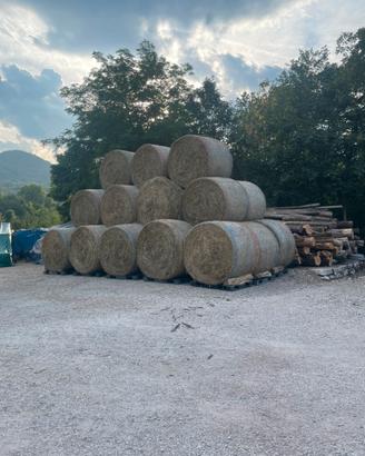 Fieno collinare di prato stabile rotoli ballette