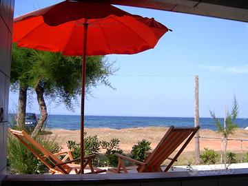 Vacanze a due passi dal mare e vicino Zoo Safari