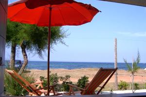 Vacanze a due passi dal mare e vicino Zoo Safari