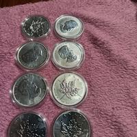 Oncie foglia acero 2013