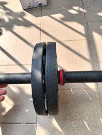 ruota per addominali