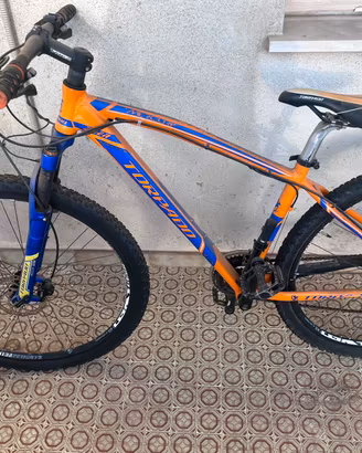 Bicicletta Torpado