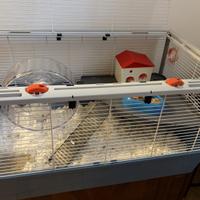 GABBIA CRICETO - FERPLAST CRICETI 80