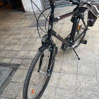 BIANCHI SPILLO RUBINO