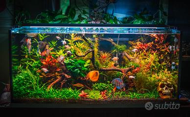 Bombola co2 2kg
