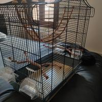 Gabbia per uccellini 